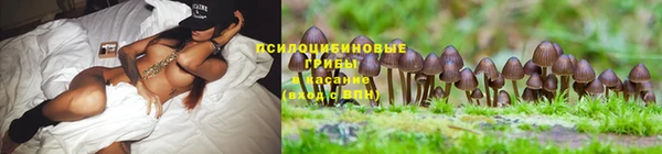 мескалин Балабаново
