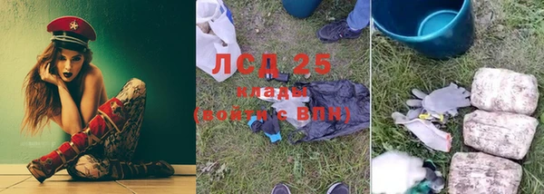 эйфоретик Баксан