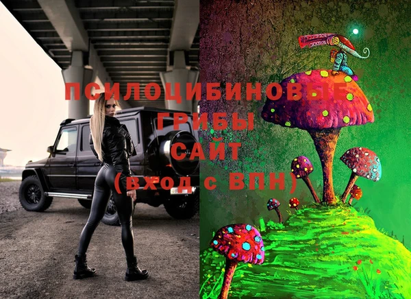 эйфоретик Баксан