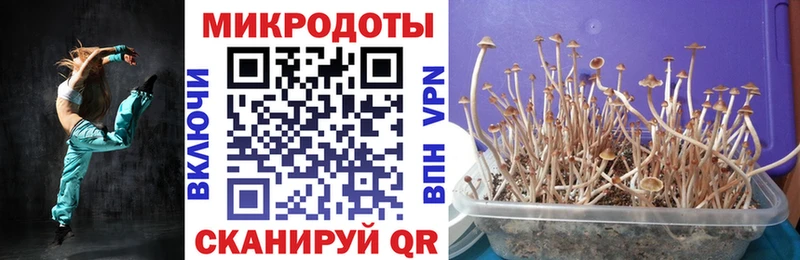 наркошоп  Закаменск  Псилоцибиновые грибы мухоморы 